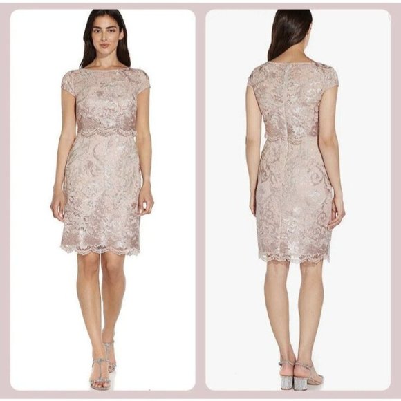 NWT Adrianna Papell Dusty Rose Embroidered Lace Popover Dress Size 2 NEW - Picture 15 of 15